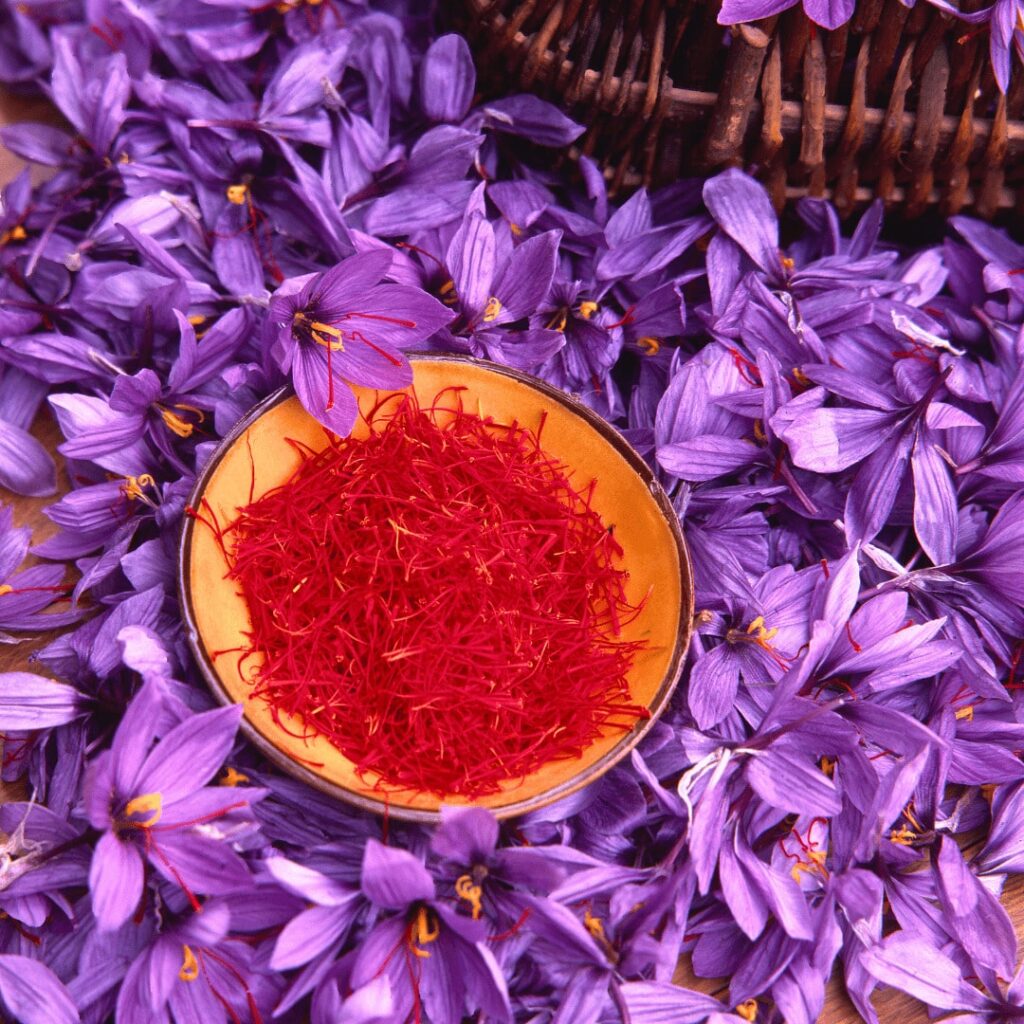 Fiori di zafferano