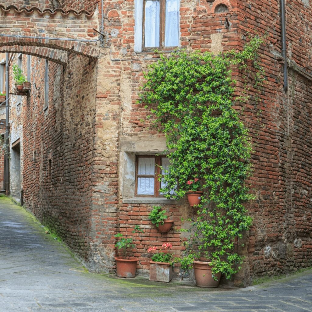 Scorcio di Città della Pieve