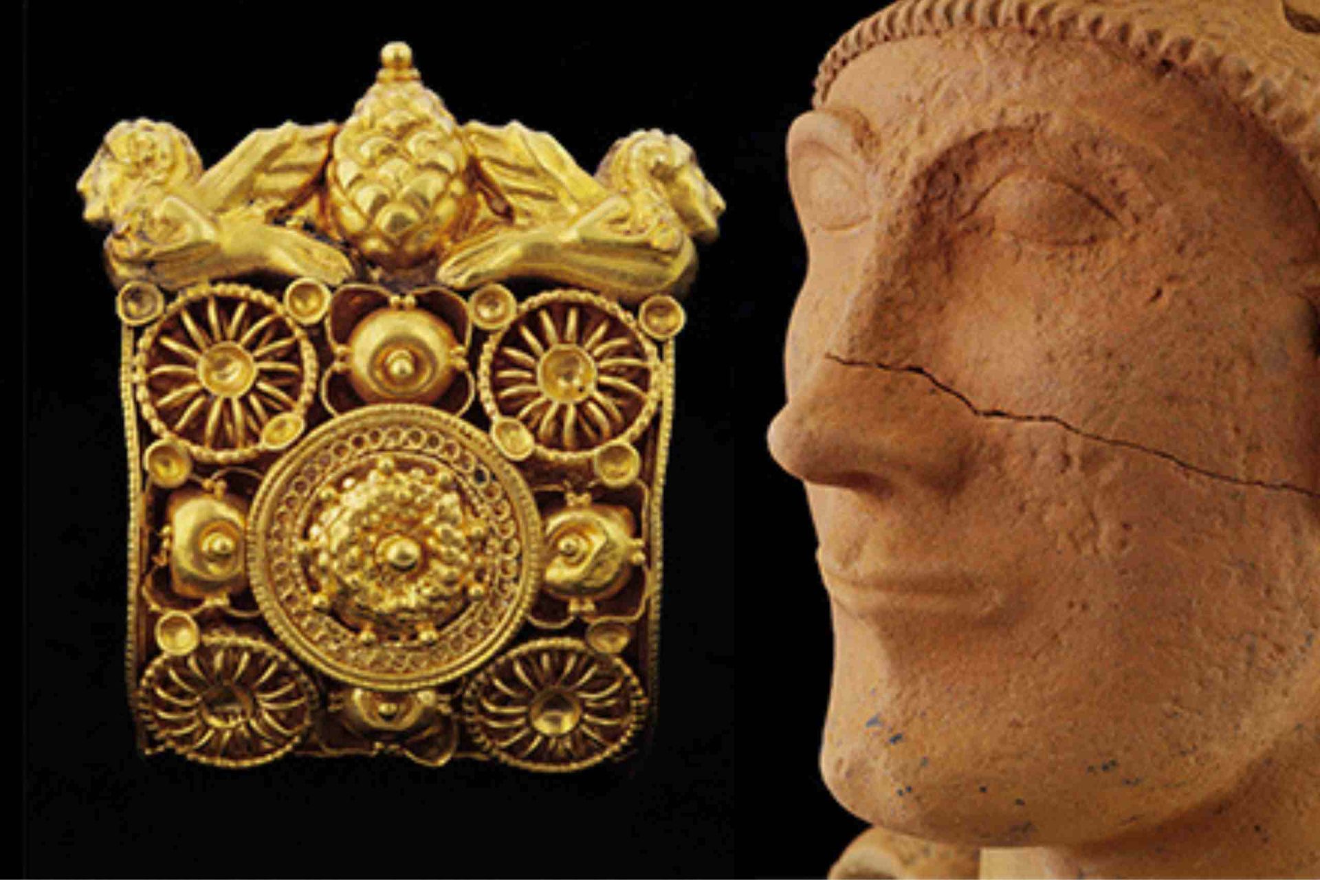 Special Discount for the entrance ticket to the Etruscan Museum